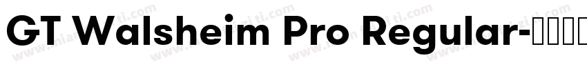 GT Walsheim Pro Regular字体转换